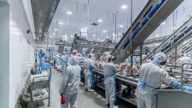 Descubra como elevar a eficiência produtiva do seu frigorífico