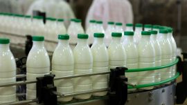 Dicas para montar uma fábrica de laticínios