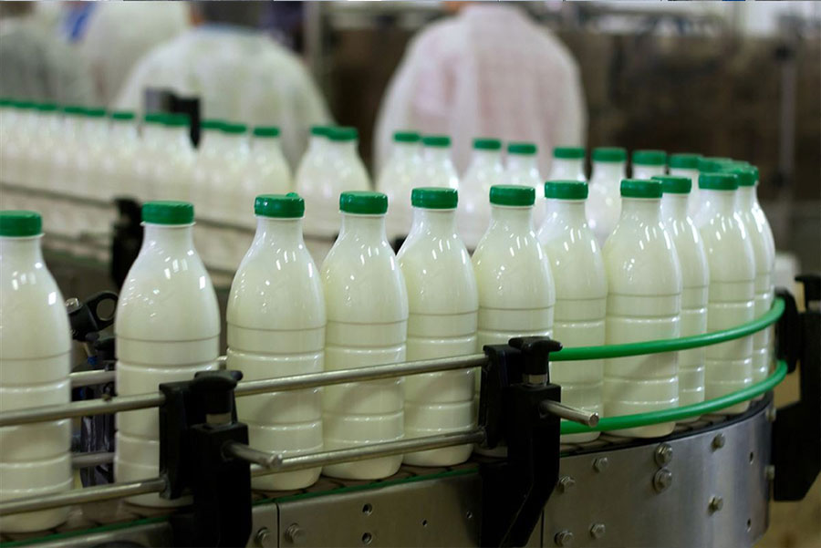 Dicas para montar uma fábrica de laticínios